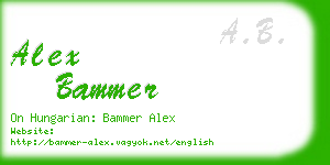 alex bammer business card